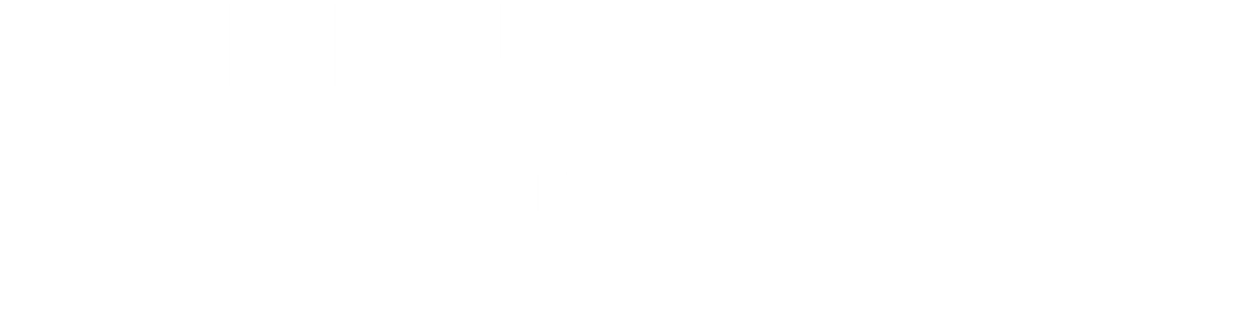 Turkey Trot Chicago
